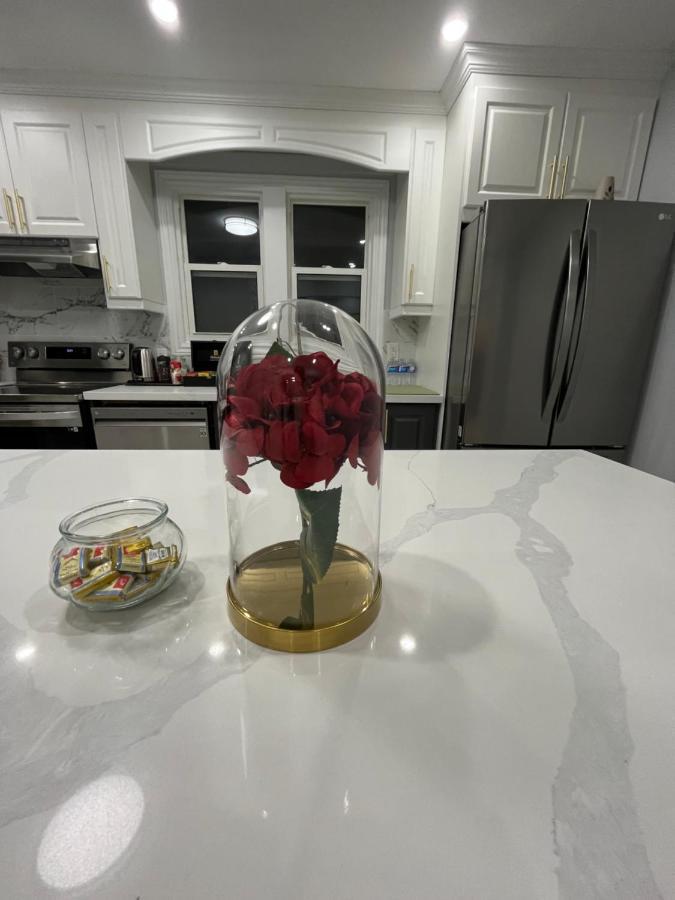 Renovated - Walk To Falls & Tourist District Holiday home *