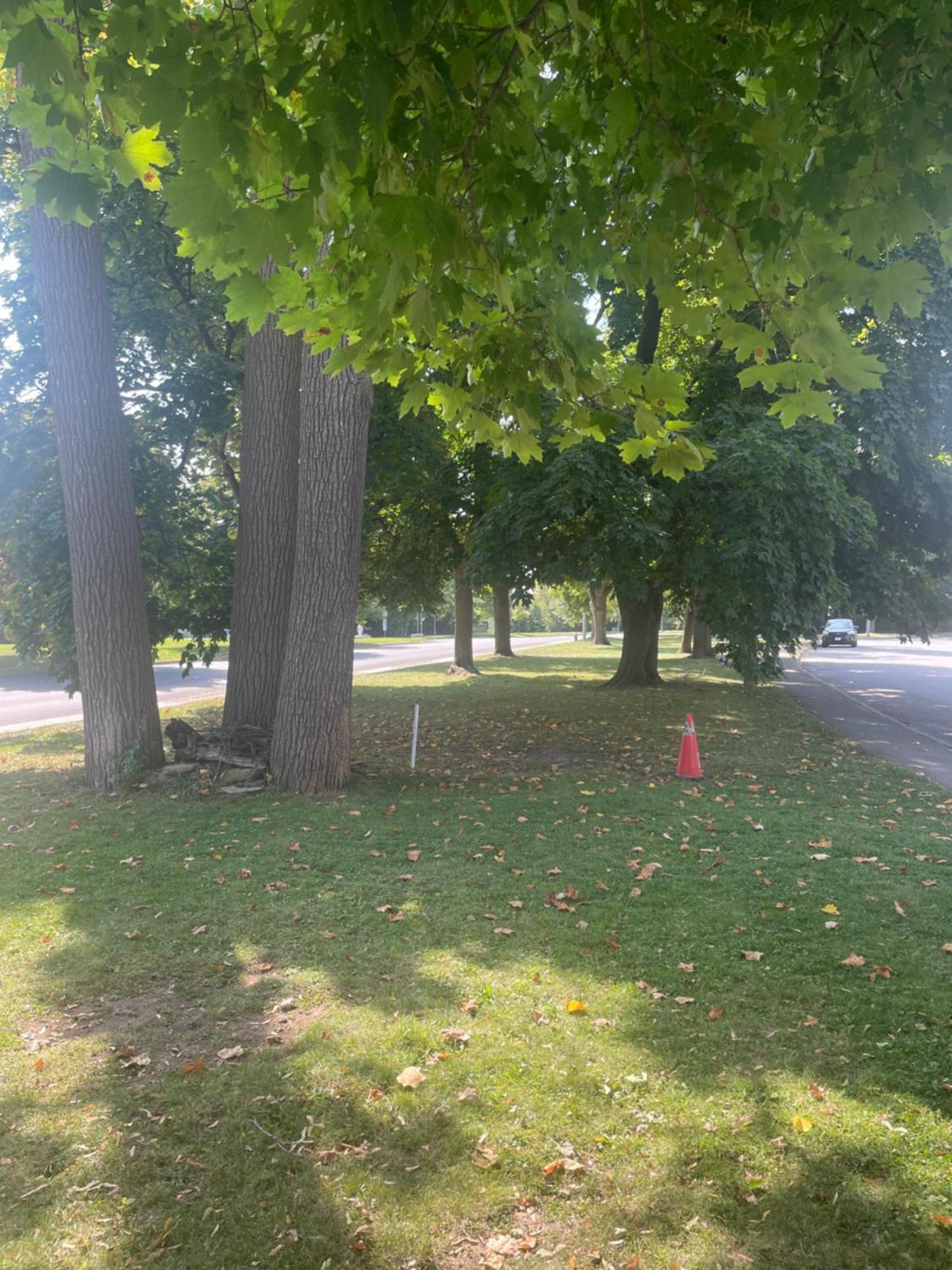 Peaceful On Palmer Ave - Close To The Falls & Complimentary Breakfast Delivered Daily To The *