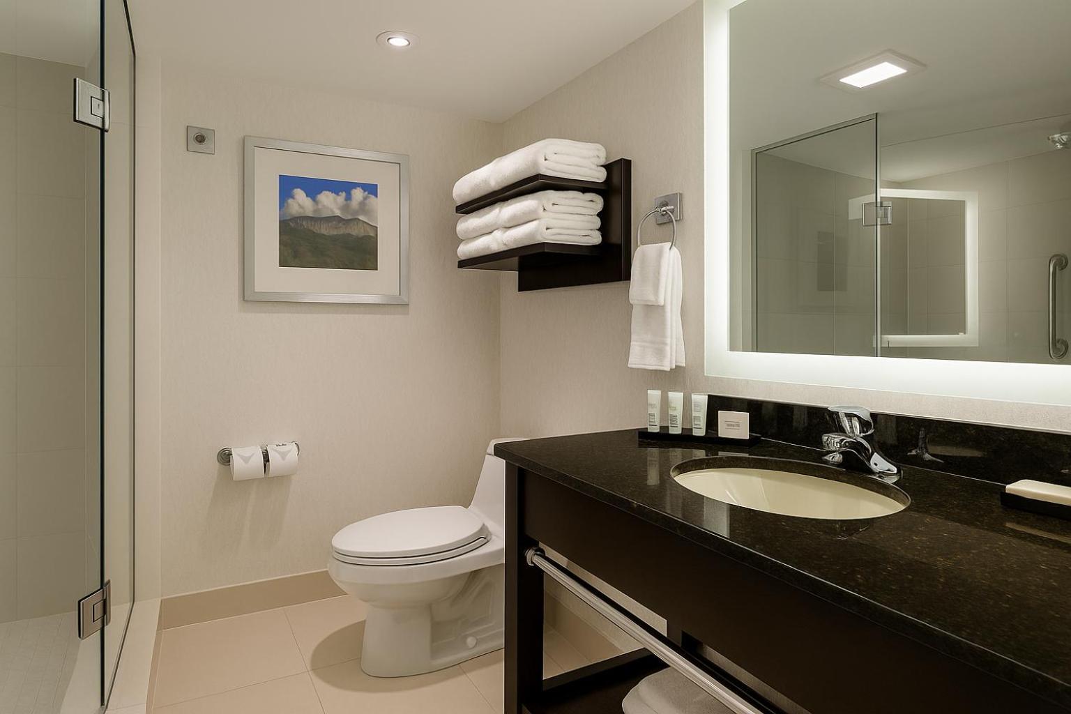 Hotel Embassy By Hilton Falls/ Fallsview 4*
