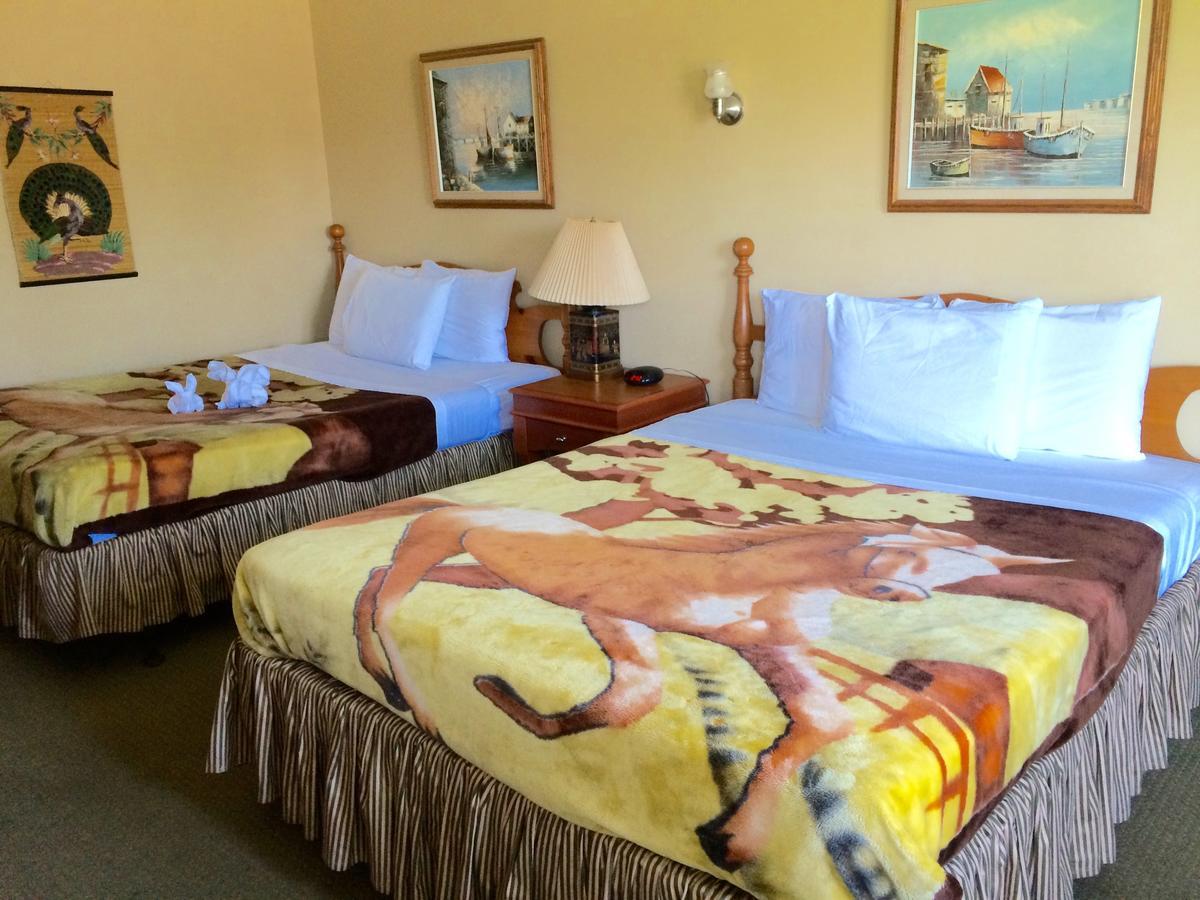 E-lodge Near The Falls 2* Niagara Falls