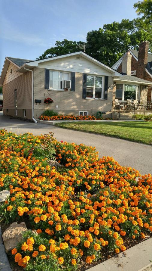 Bed & Breakfast Trillium 3*