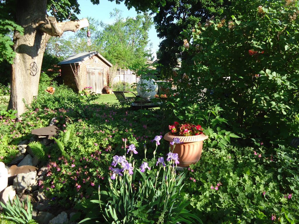 Bed & Breakfast Absolute Elegance 3*
